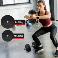 PhysicsÂ® dumbbell set 30 kg dumbbell discs dumbbell set dumbbells-