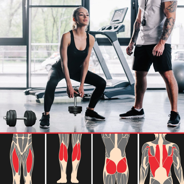 PhysicsÂ® dumbbell set 30 kg dumbbell discs dumbbell set dumbbells-
