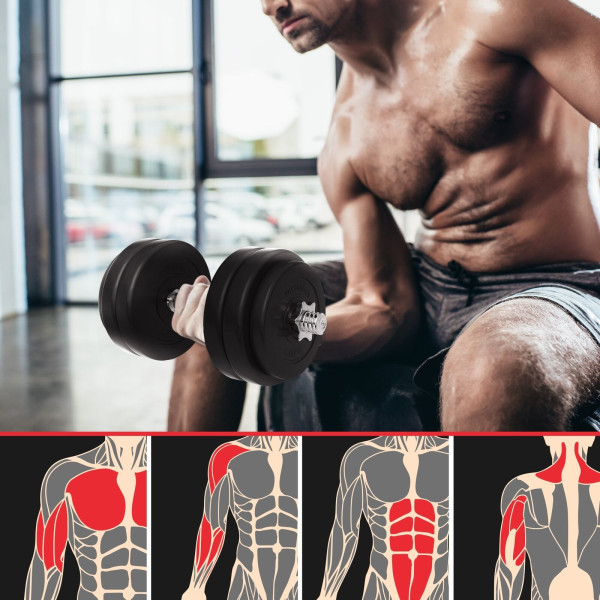 PhysicsÂ® dumbbell set 30 kg dumbbell discs dumbbell set dumbbells-