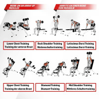 PhysicsÂ® dumbbell bench folding training bench inclined bench flat bench abdominal trainer-