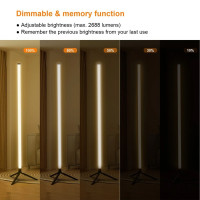 Floor RGB LED Lamp Corner Light Standing Mood Remote Colour Changing Lamp