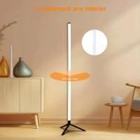 Floor RGB LED Lamp Corner Light Standing Mood Remote Colour Changing Lamp