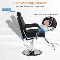 Costway Black Hydraulic Barber Chair with Adjustable Headrest 1307