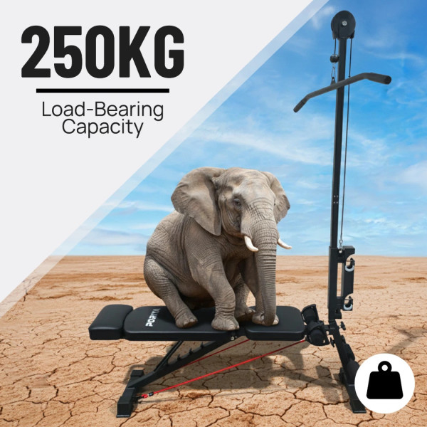 9 In 1 Foldable Adjustable Weight Bench Fitness Home Equipment with Barbell Rack