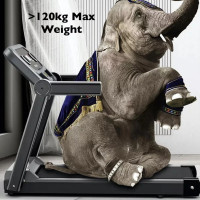 Electric Treadmill 2.0hp Motorised Folding Slim Line Running Machine Portable